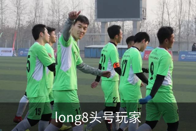 long8头号玩家公司简介